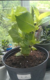 QQ��ͼ20130424124107.jpg