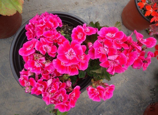 �����ô��������