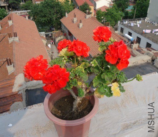 ��û���辰�ĸо���