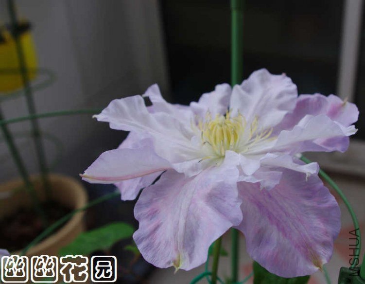 IMGP5925.jpg
