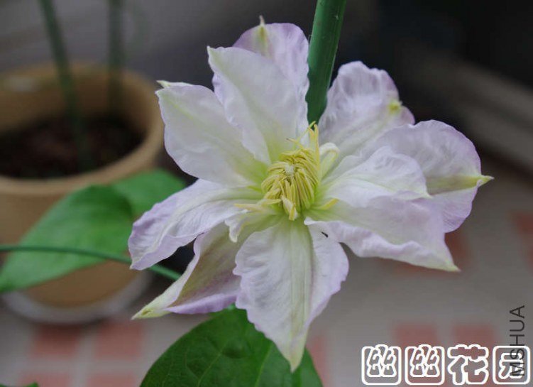 IMGP5932.jpg
