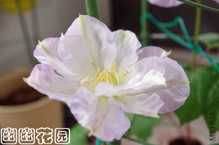 IMGP6328.jpg