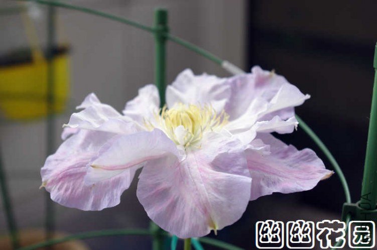 IMGP6330.jpg
