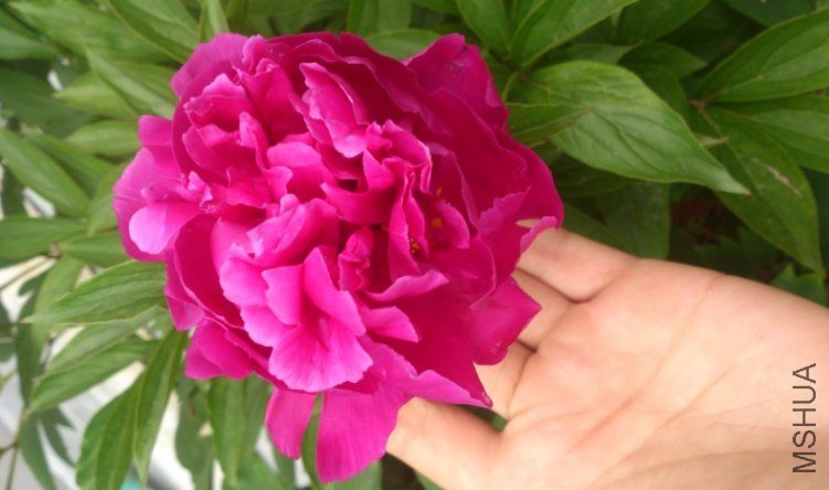 0Z8[NXZ`527W9`Z$C1E[IHQ.jpg