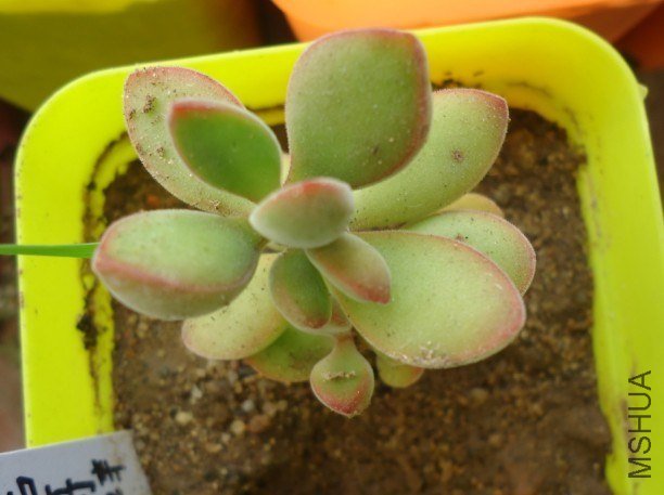 �벻��ҧһ��Ŷ