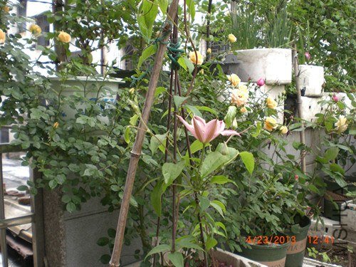 CIMG2837_����.jpg
