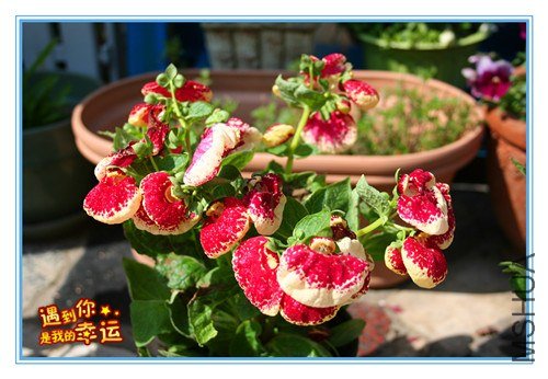 ��Ƭ 046_����.jpg