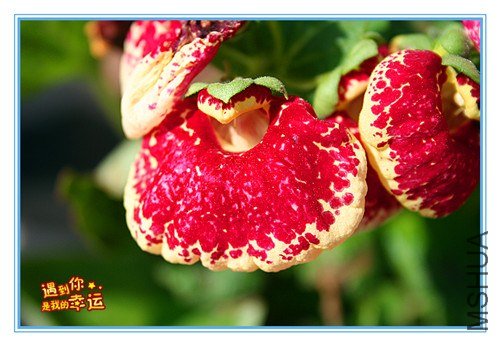 ��Ƭ 048_����.jpg