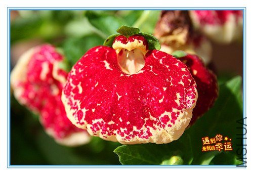 ��Ƭ 050_����.jpg