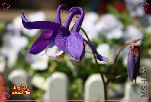 ��Ƭ 069_����.jpg