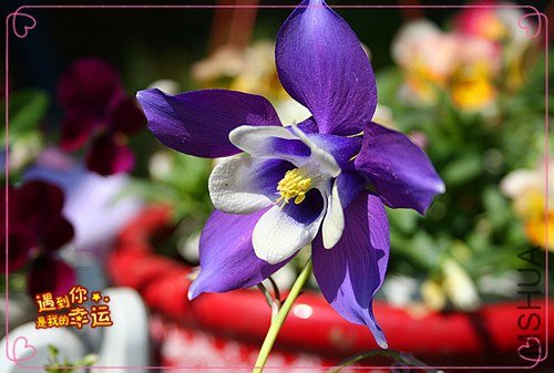 ��Ƭ 071_����.jpg