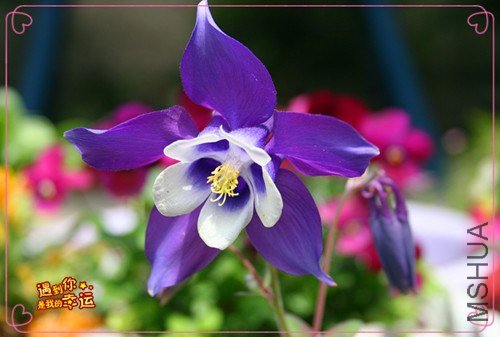 ��Ƭ 072_����.jpg