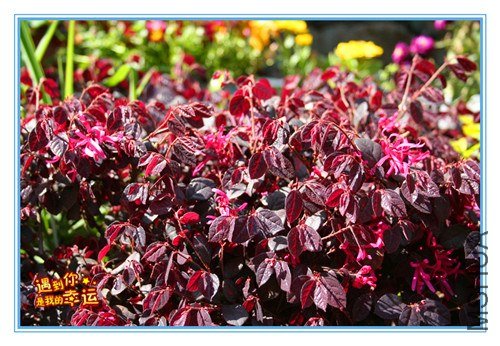 ��Ƭ 087_����.jpg