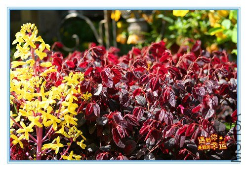 ��Ƭ 088_����.jpg