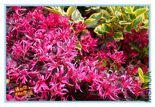 ��Ƭ 89_����.jpg