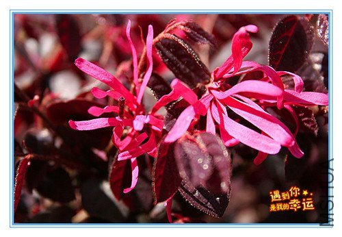 ��Ƭ 091_����.jpg