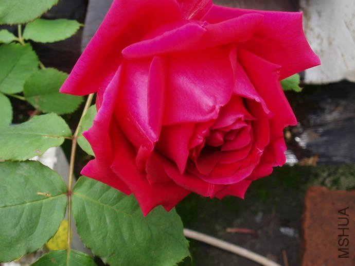 057S00030.jpg