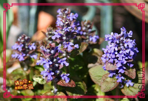 ��Ƭ 083_����.jpg