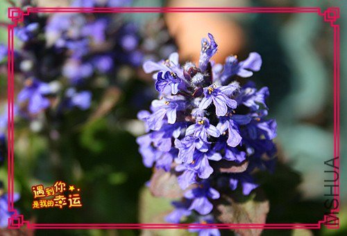 ��Ƭ 086_����.jpg