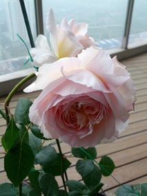 IMG_20130424_070046.jpg