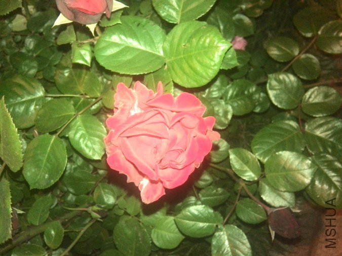 20130425102048.jpg
