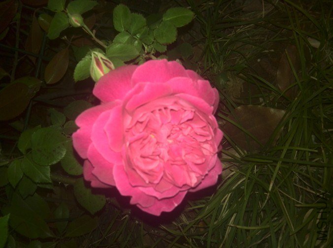 20130425102109.jpg
