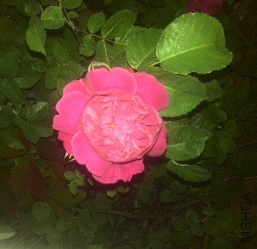 20130425102206.jpg