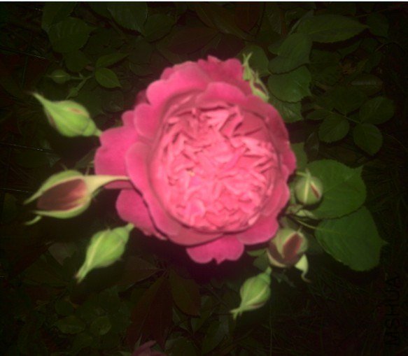 20130425102309.jpg