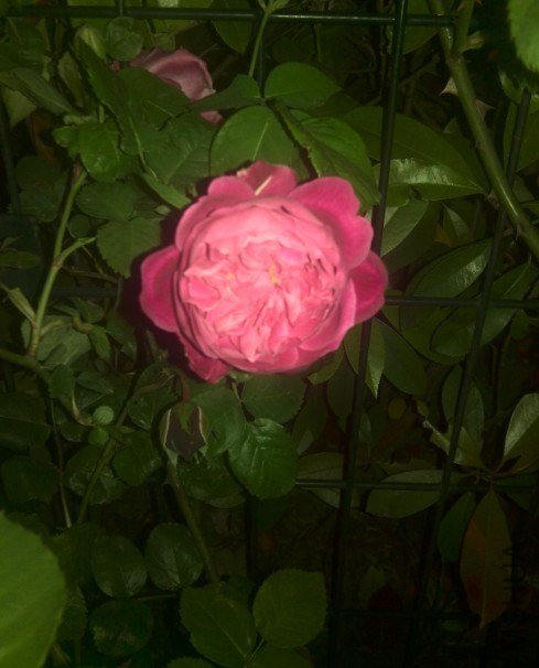 20130425102327.jpg
