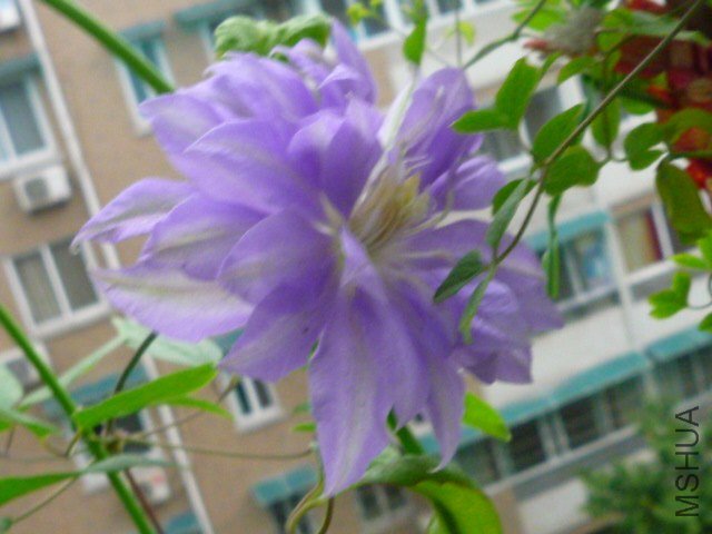 P1080401.JPG