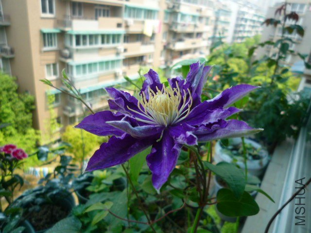 P1080415.JPG