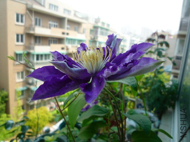 P1080416.JPG