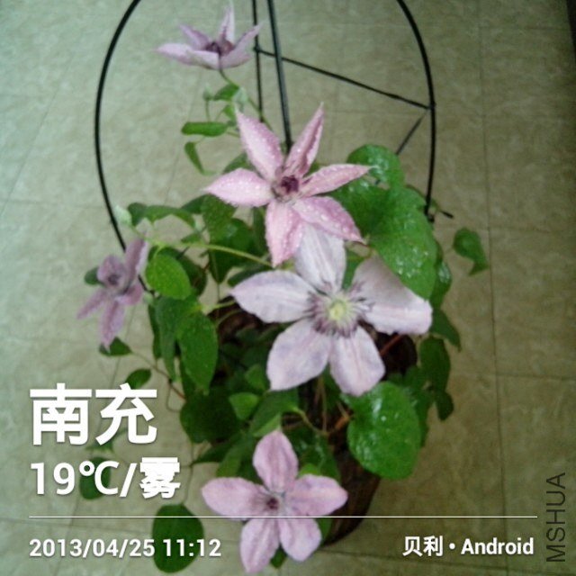 �����ֶ࿪������