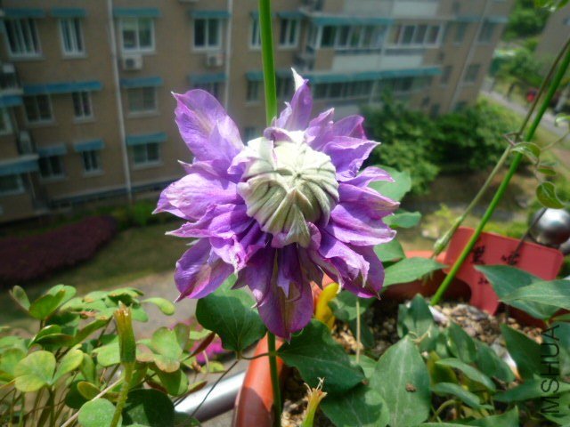 P1080426.JPG