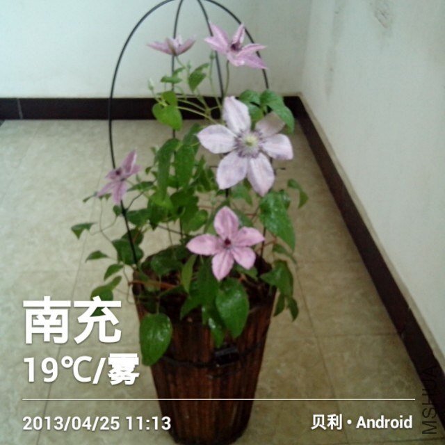 ���ǽ����