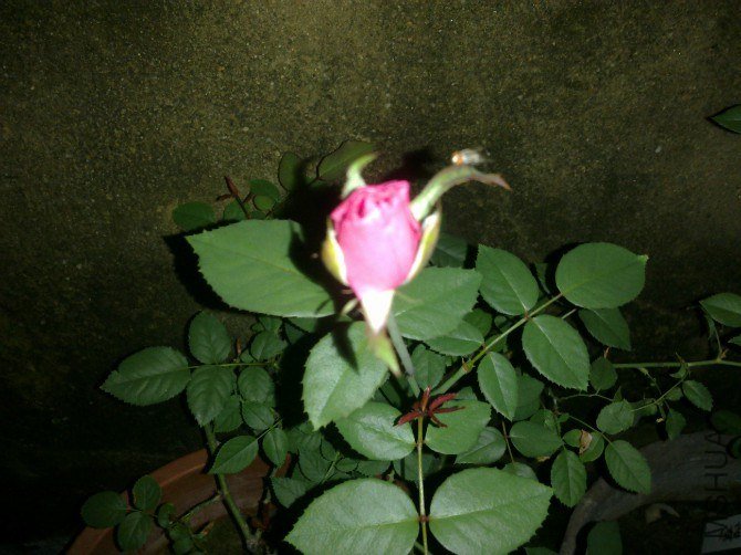 01.jpg