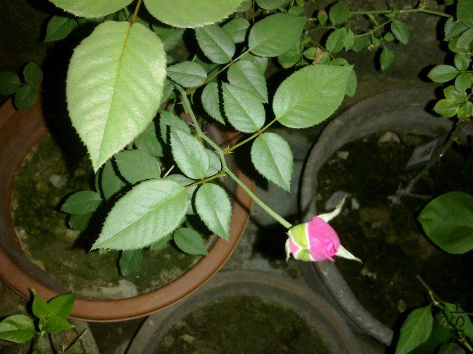 02.jpg