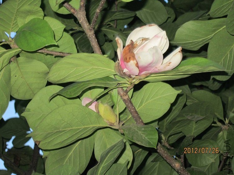 �����ȥ�������Ҽ�Ҫ�����������������