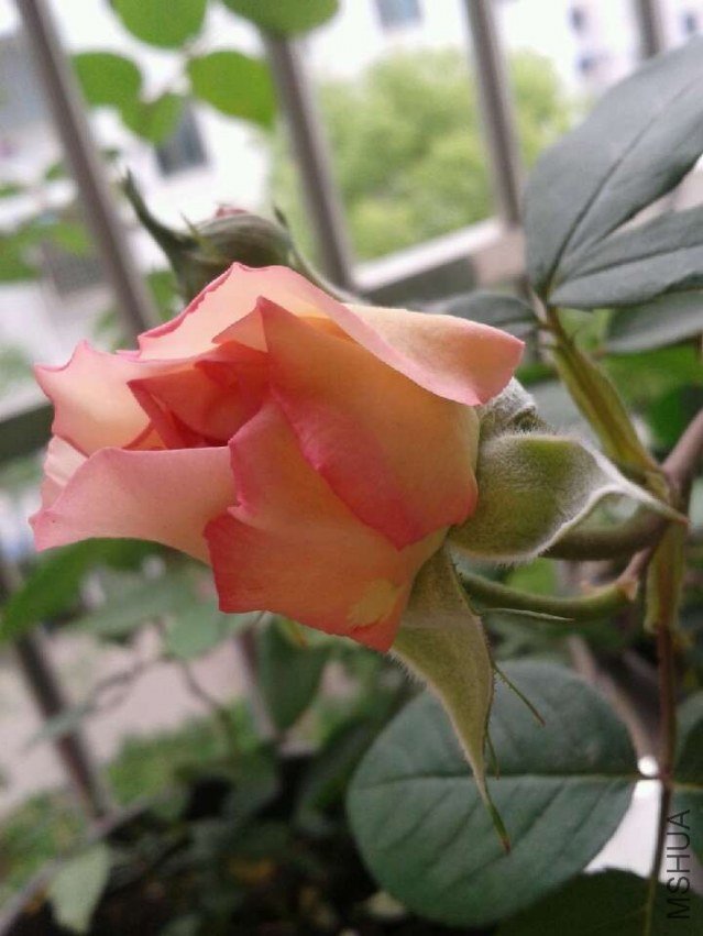 18�մ򿪻���