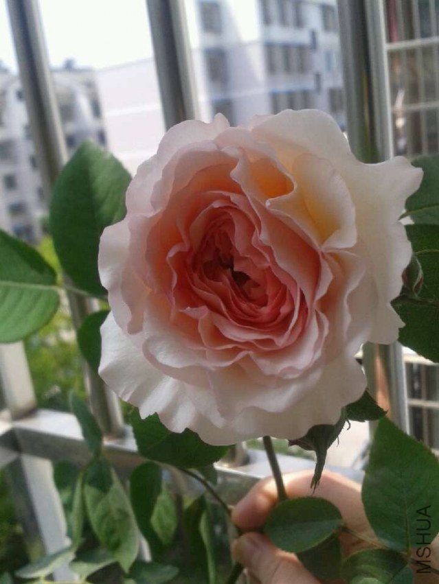 22��չ������