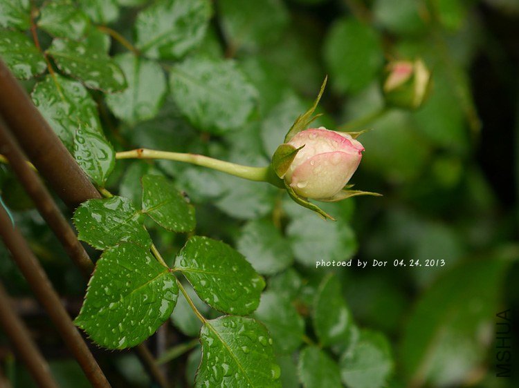 P1010734.jpg