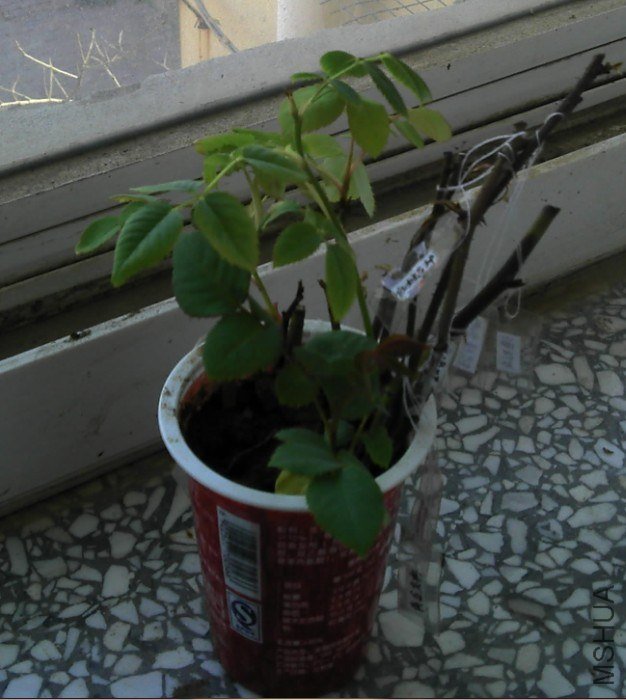 QQ��ͼ20130425162917.jpg