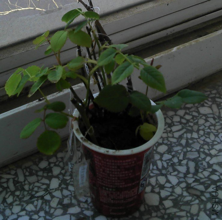 QQ��ͼ20130425162945.jpg