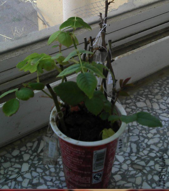 QQ��ͼ20130425162958.jpg