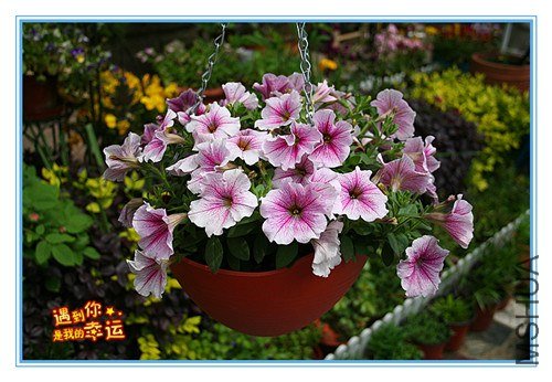 ��Ƭ 007_����.jpg