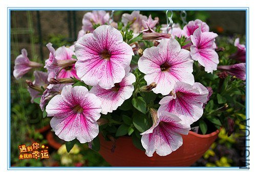 ��Ƭ 008_����.jpg