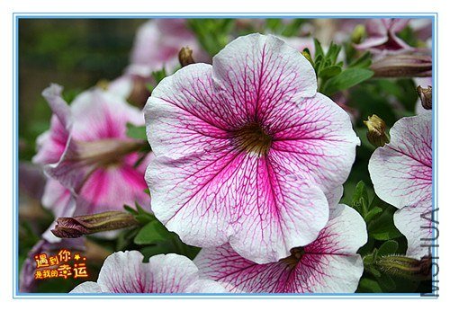 ��Ƭ 011_����.jpg