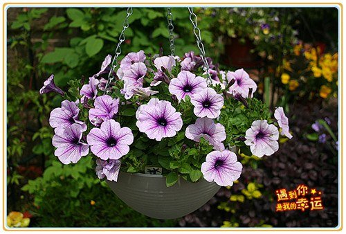 ��Ƭ 012_����.jpg