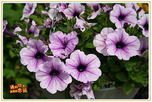 ��Ƭ 016_����.jpg