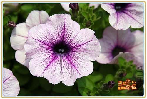 ��Ƭ 018_����.jpg